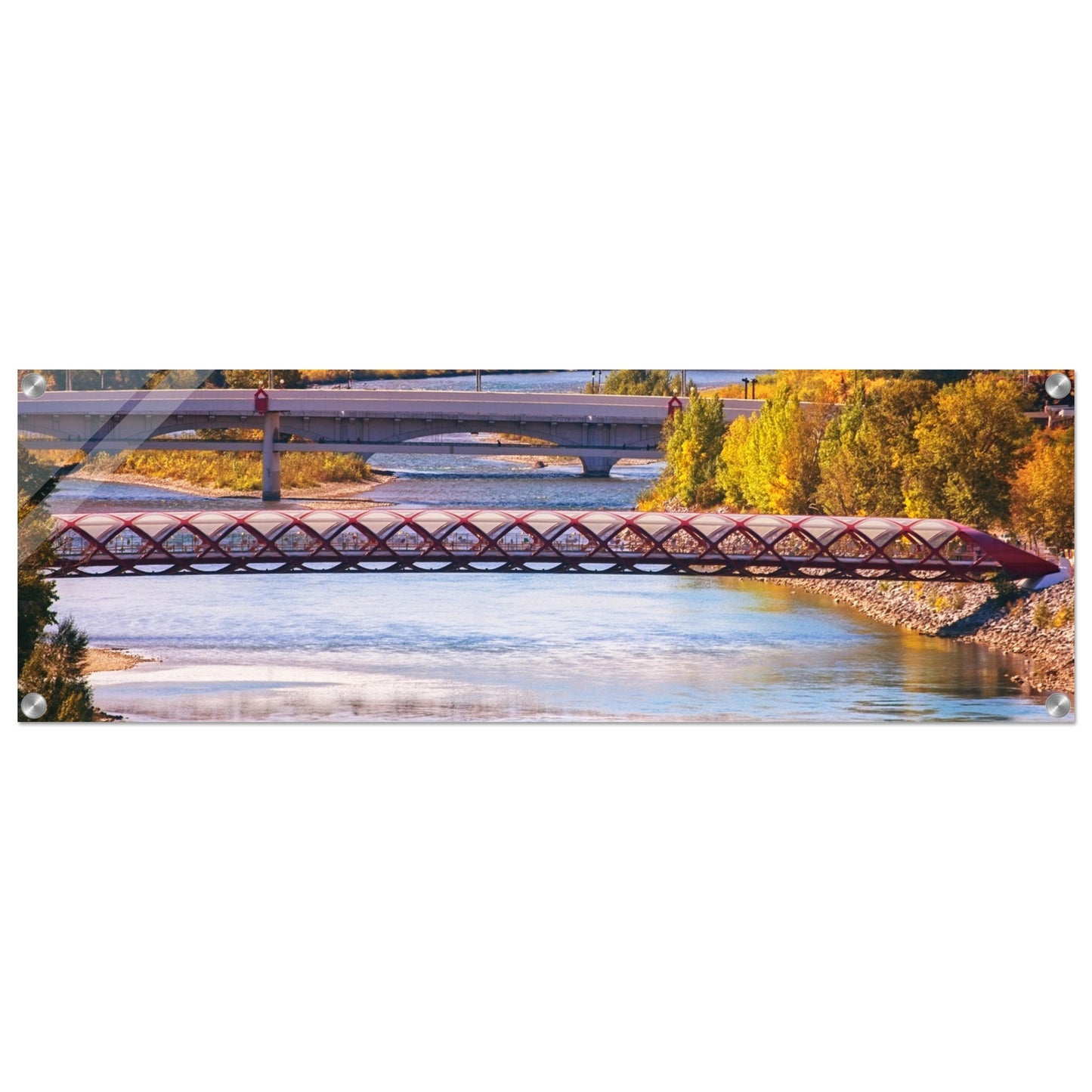 Acrylic Print - Peace Bridge McHugh Bluff Fall
