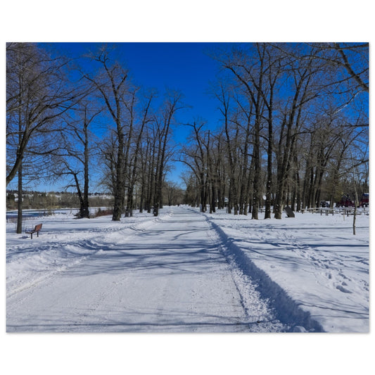 3c0bb9d0-5bc5-43d6-8aac-3d65ffbf4e65