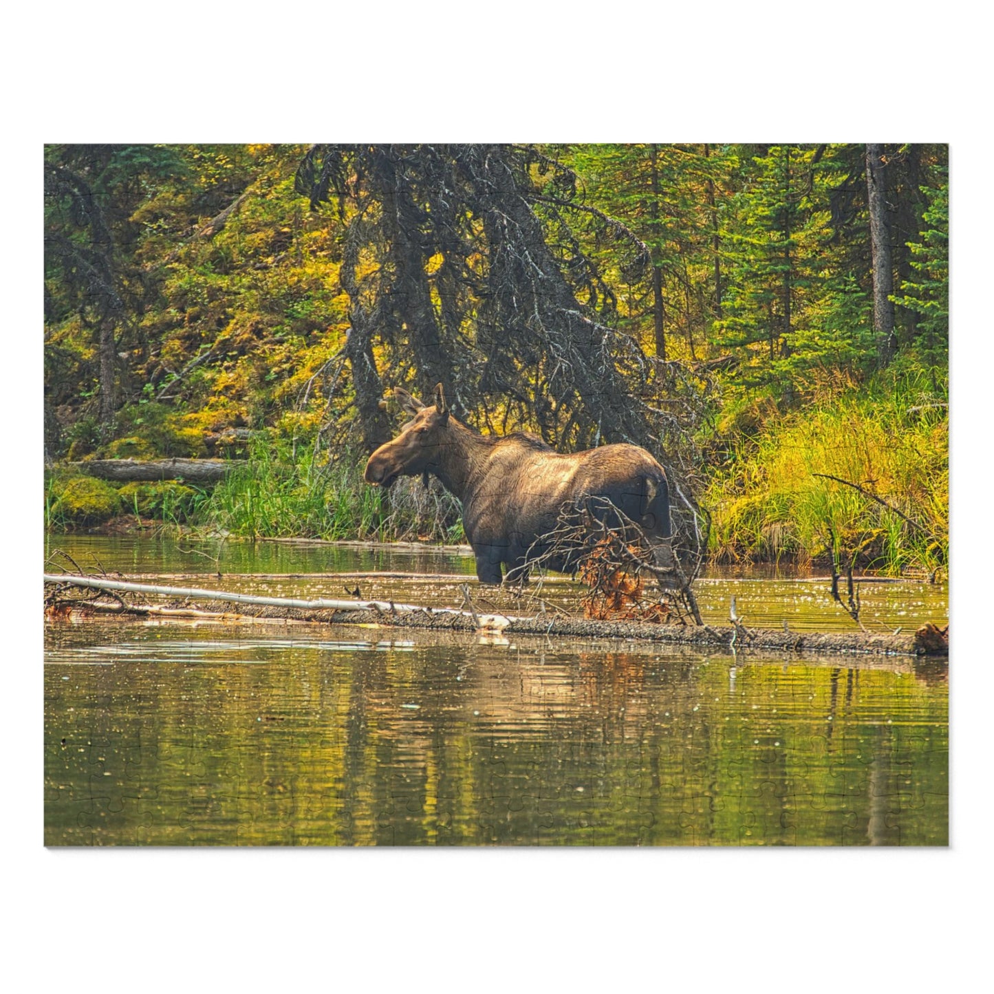 Jigsaw Puzzle (30, 110, 252, 500,1000-Piece) - Mosse Lake Moose