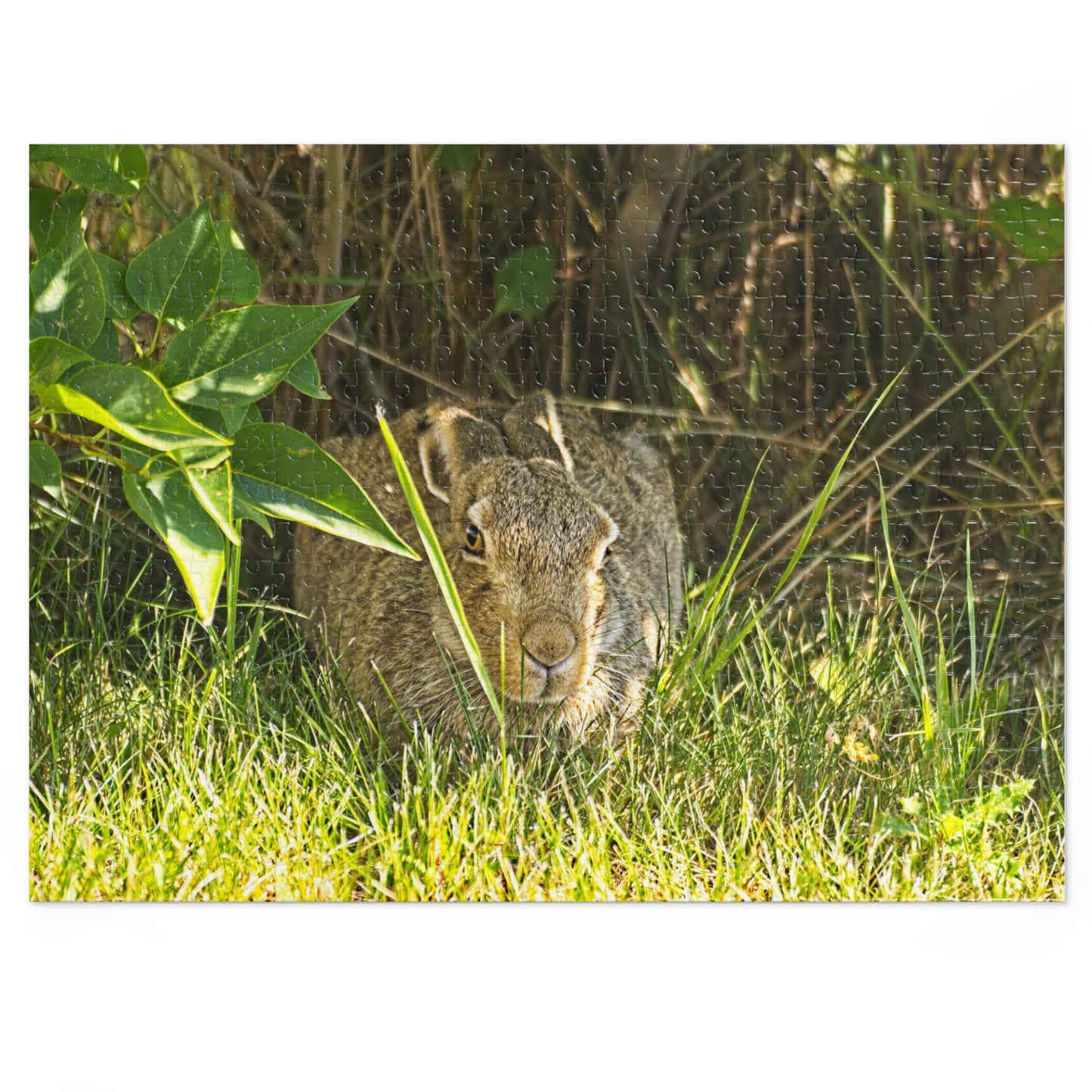 Jigsaw Puzzle (30, 110, 252, 500,1000-Piece) - Rabbit