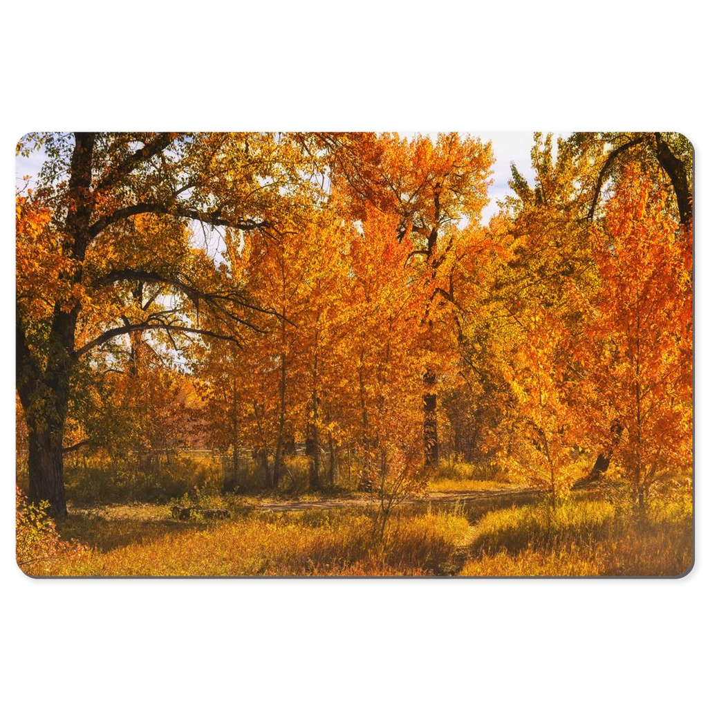 Desk Mats - Sue Higgins Park Fall Colours