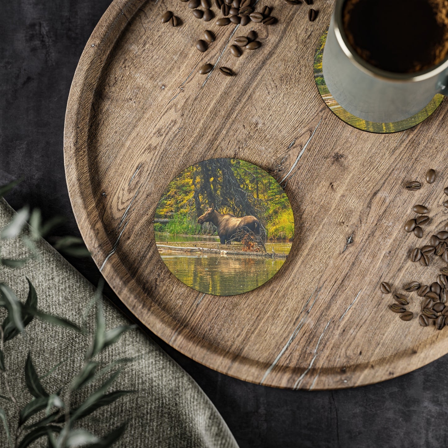 Coasters - Moose Lake Moose