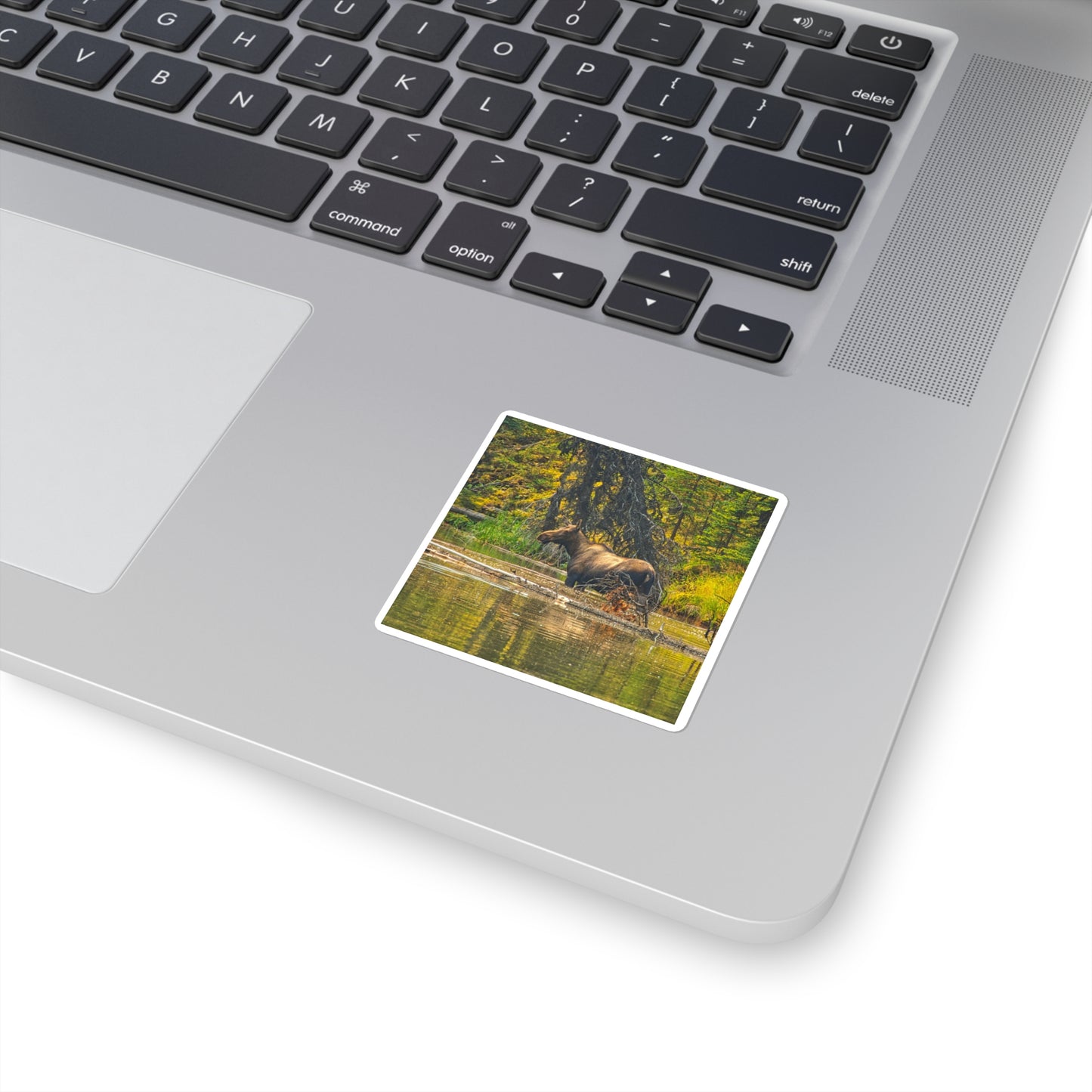 Square Stickers - Jasper National Park Moose Lake Moose