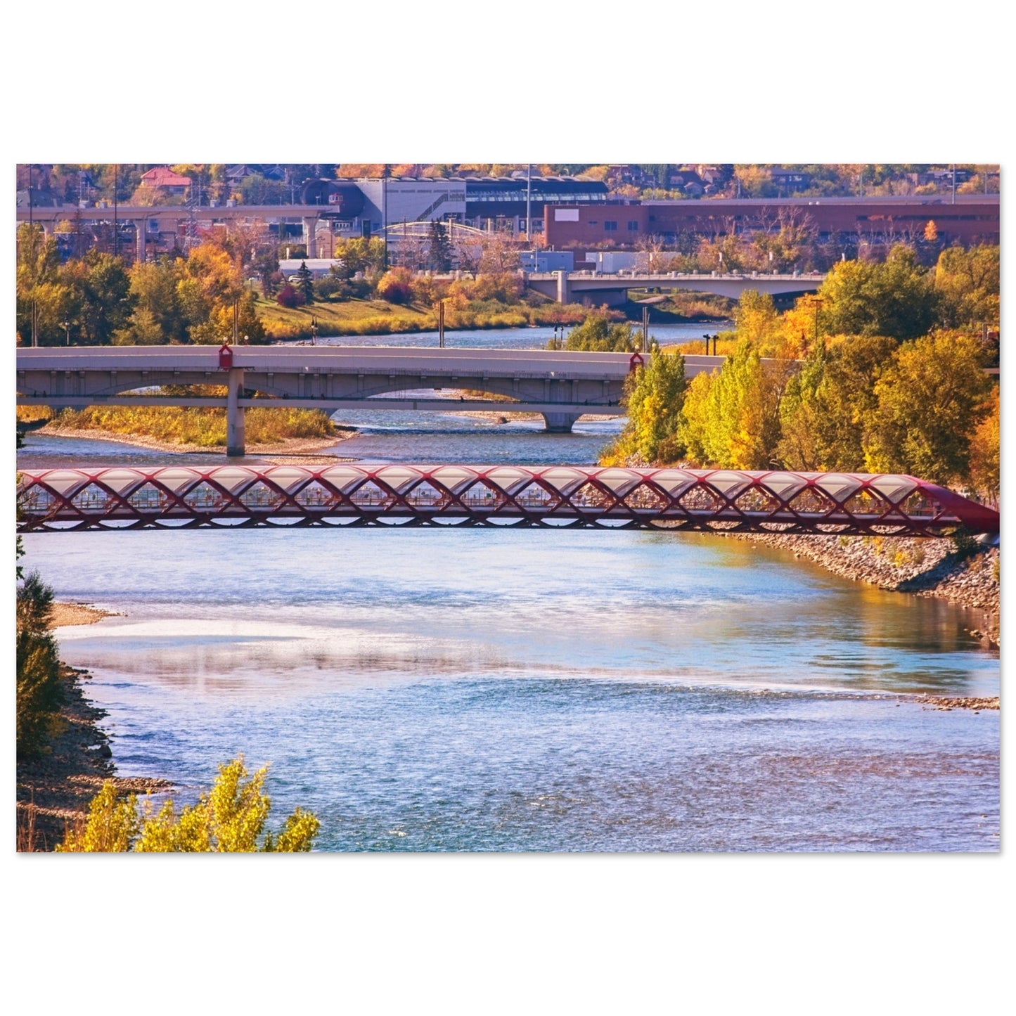 Premium Semi-Glossy Poster Print - Peace Bridge McHugh Bluff