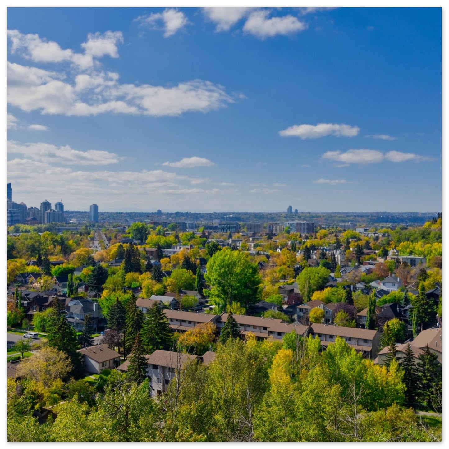 Premium Semi-Glossy Poster Print - McHugh Bluff Fall