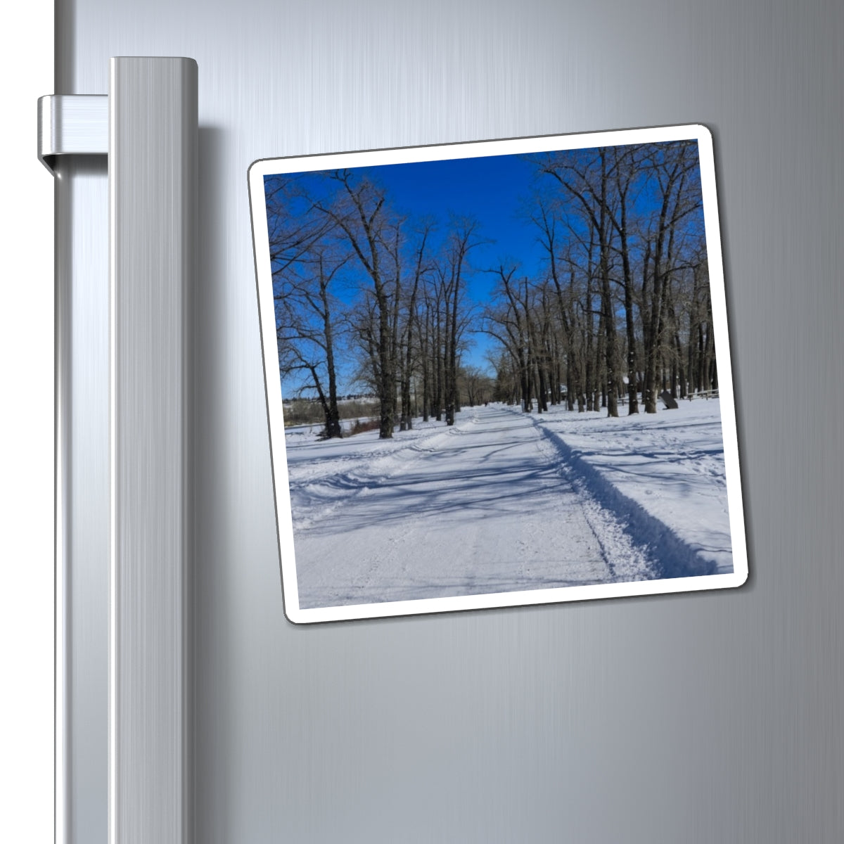 Magnets - Bowness Park Pathway Winter