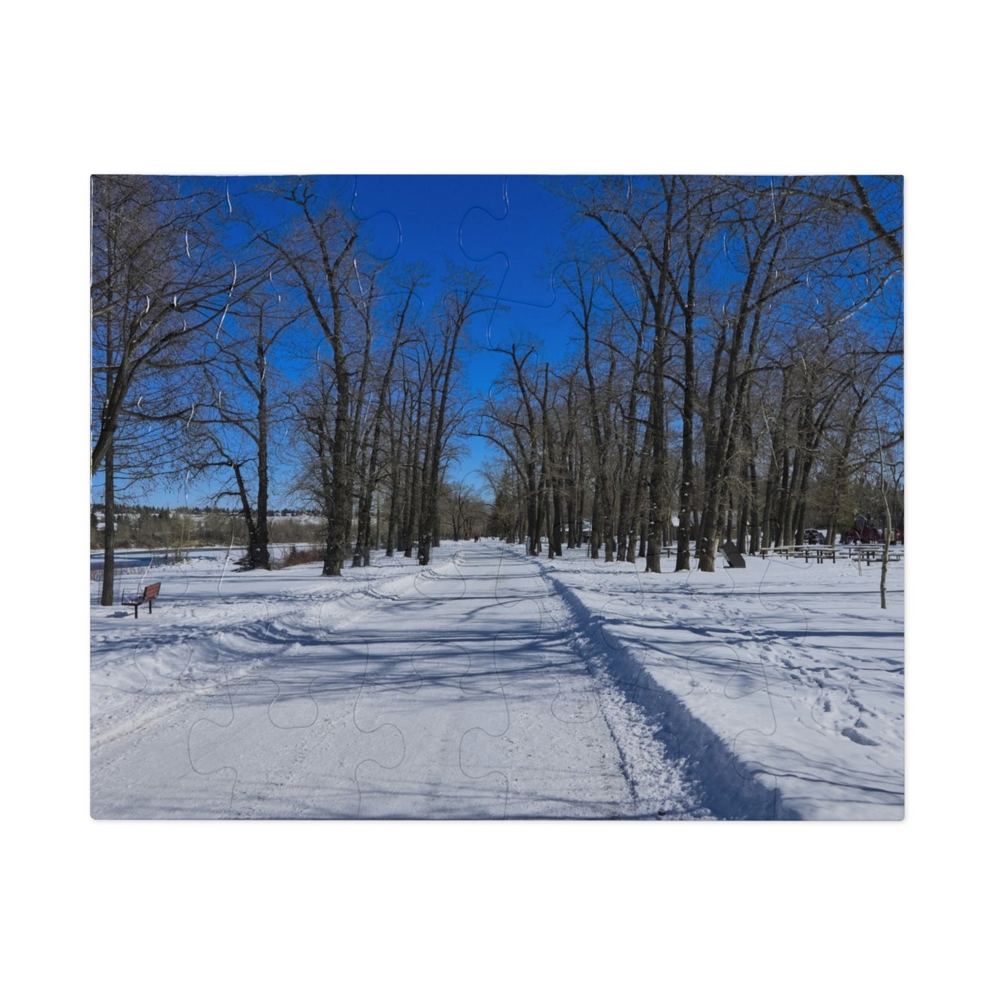 Jigsaw Puzzle (30, 110, 252, 500,1000-Piece) - Bowness Park Pathway Winter