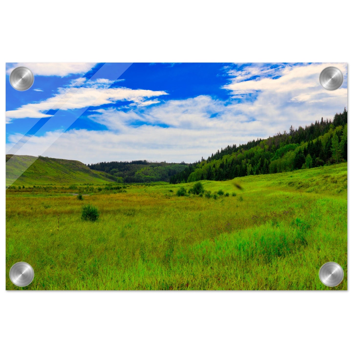 46f9a6bb-53d8-457b-bb2a-82a82295be16