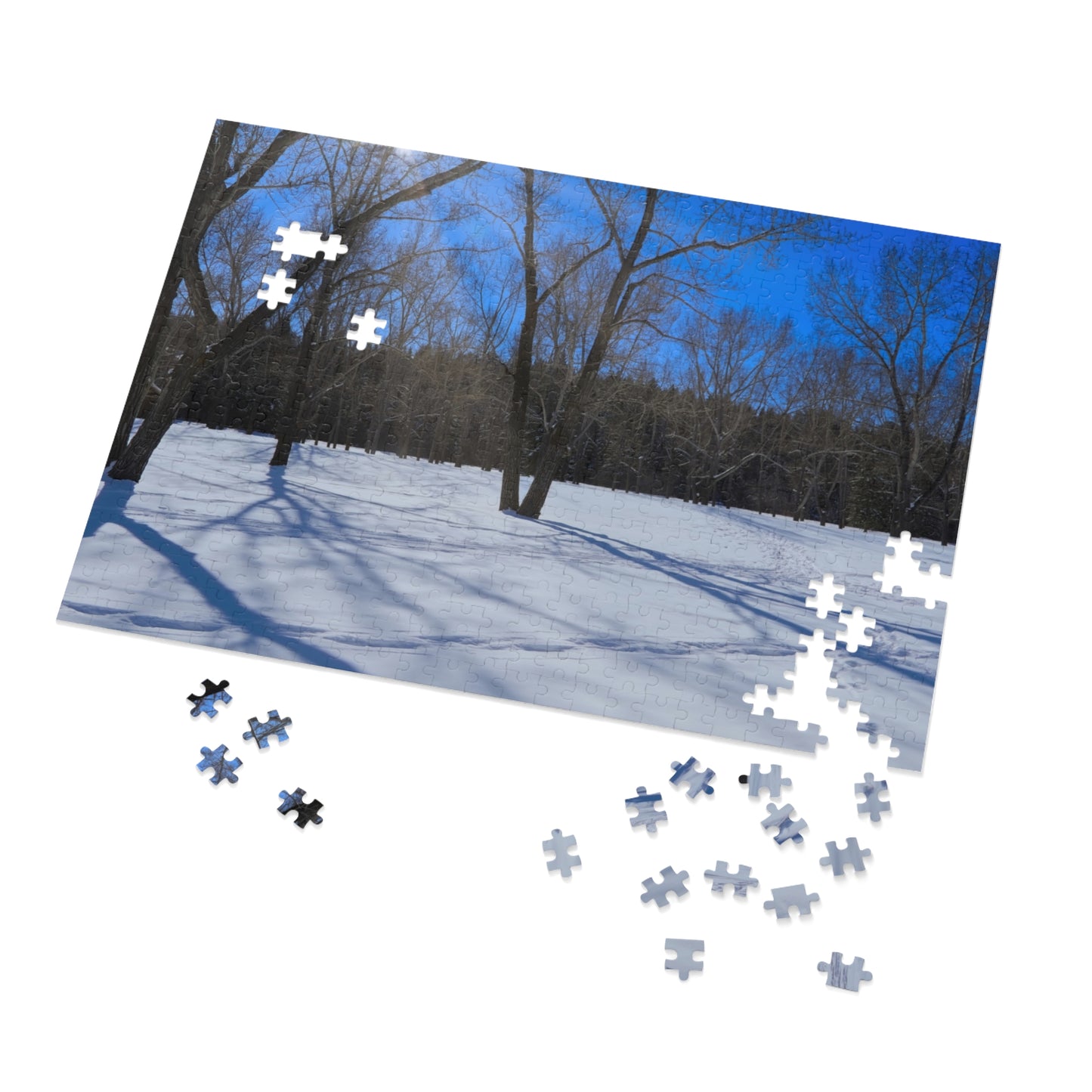 Jigsaw Puzzle (30, 110, 252, 500,1000-Piece) - Bowness Park Field Winter