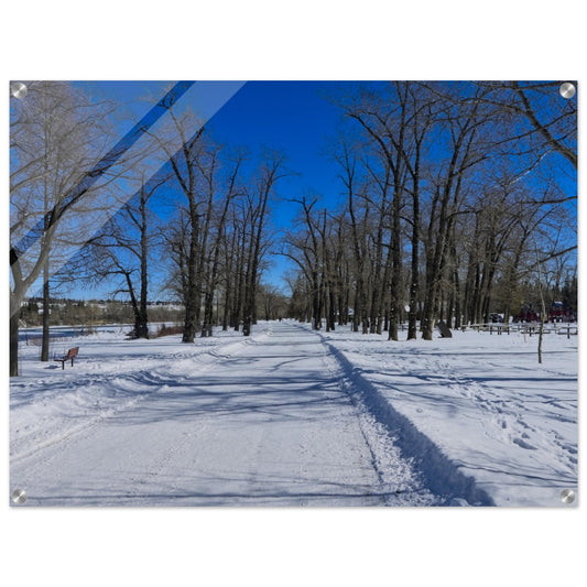 477dff31-f6ff-4136-9b8d-fc53365540f8