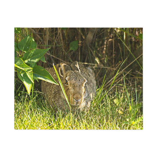 Jigsaw Puzzle (30, 110, 252, 500,1000-Piece) - Rabbit