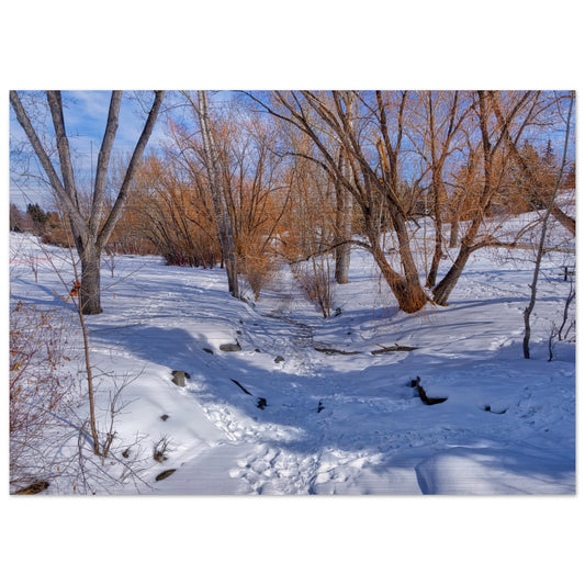 483f8a78-c327-4aa5-ac29-ba6eb682cdf3