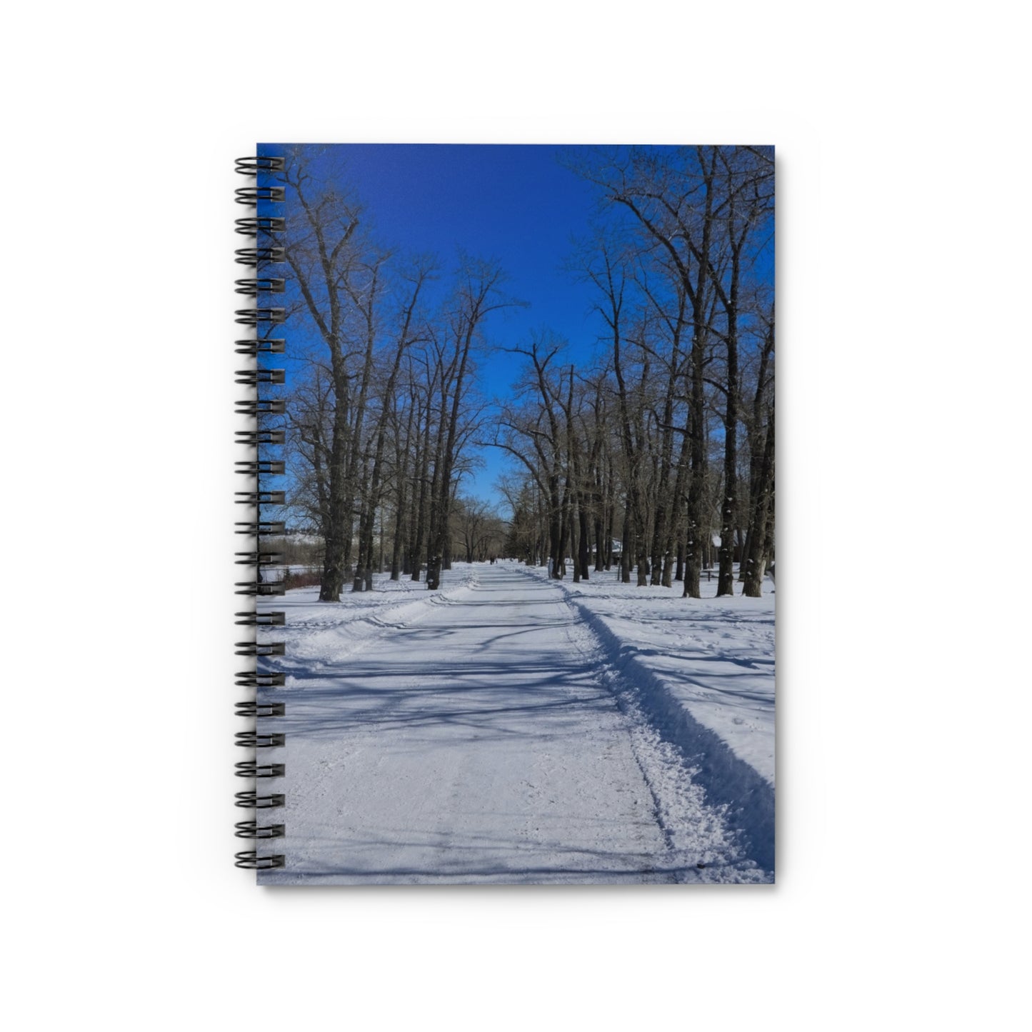 Ruled Line Spiral Notebook - Bowness Park Pathway Winter
