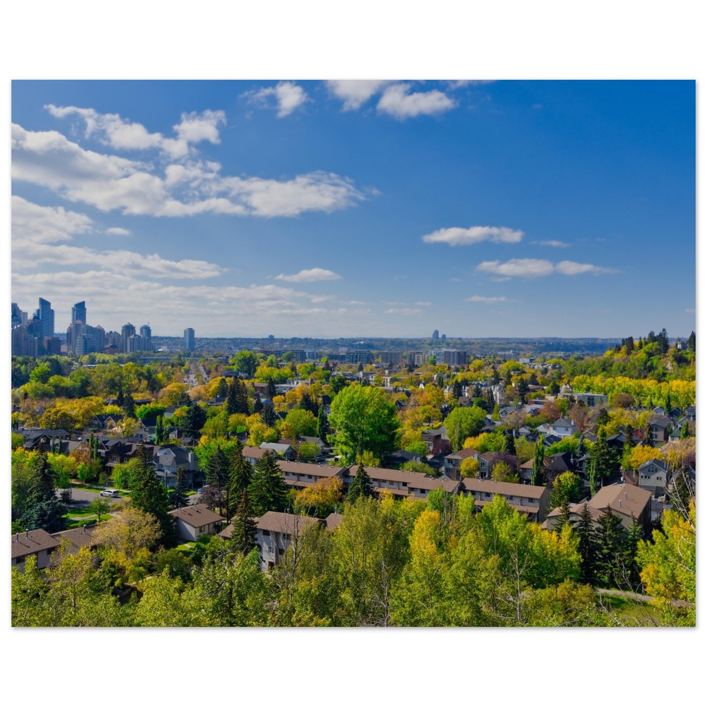 Premium Semi-Glossy Poster Print - McHugh Bluff Fall