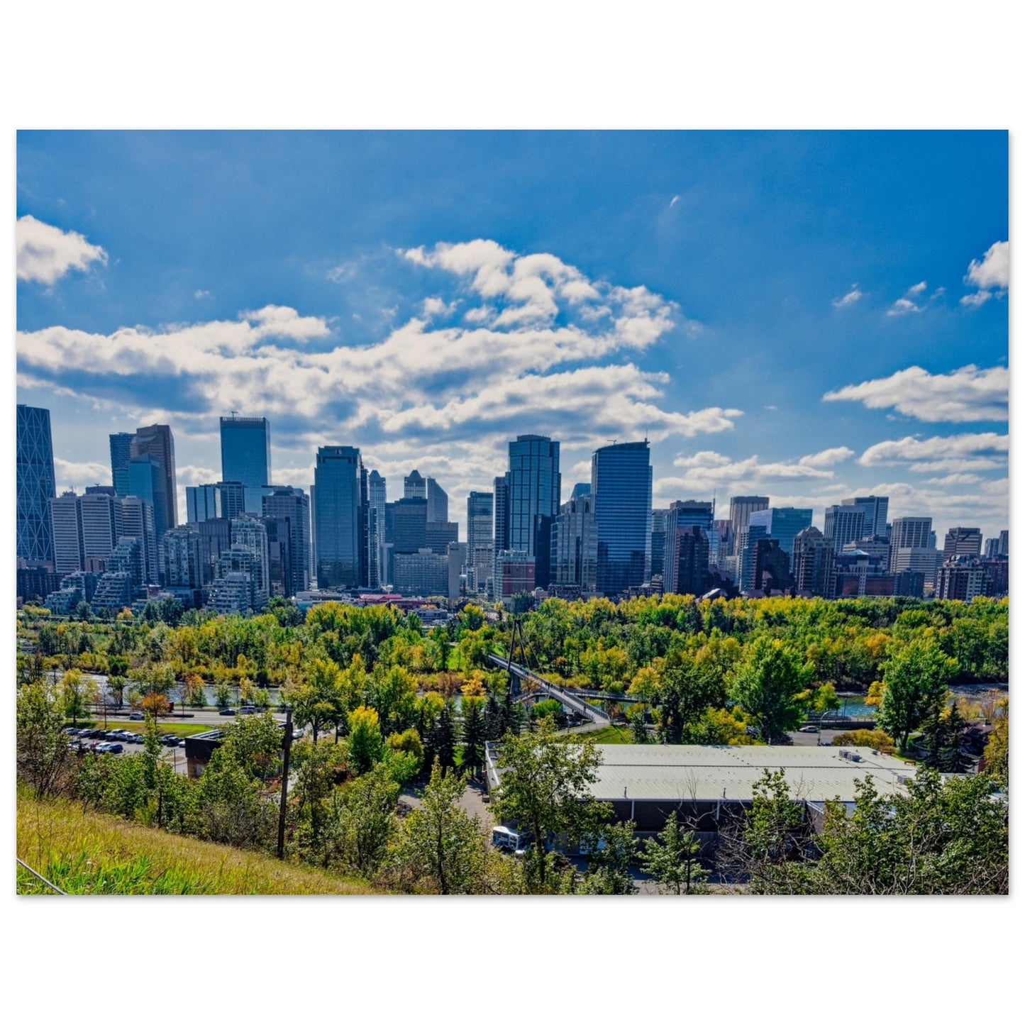 Premium Semi-Glossy Poster Print - Downtown Calgary McHugh Bluff Fall