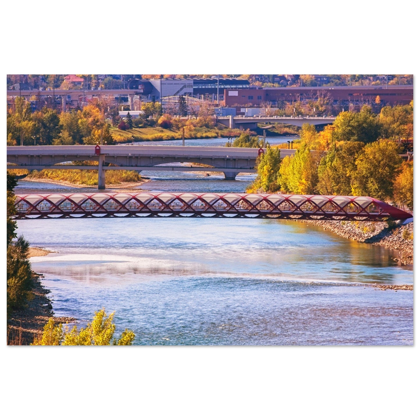 Premium Semi-Glossy Poster Print - Peace Bridge McHugh Bluff