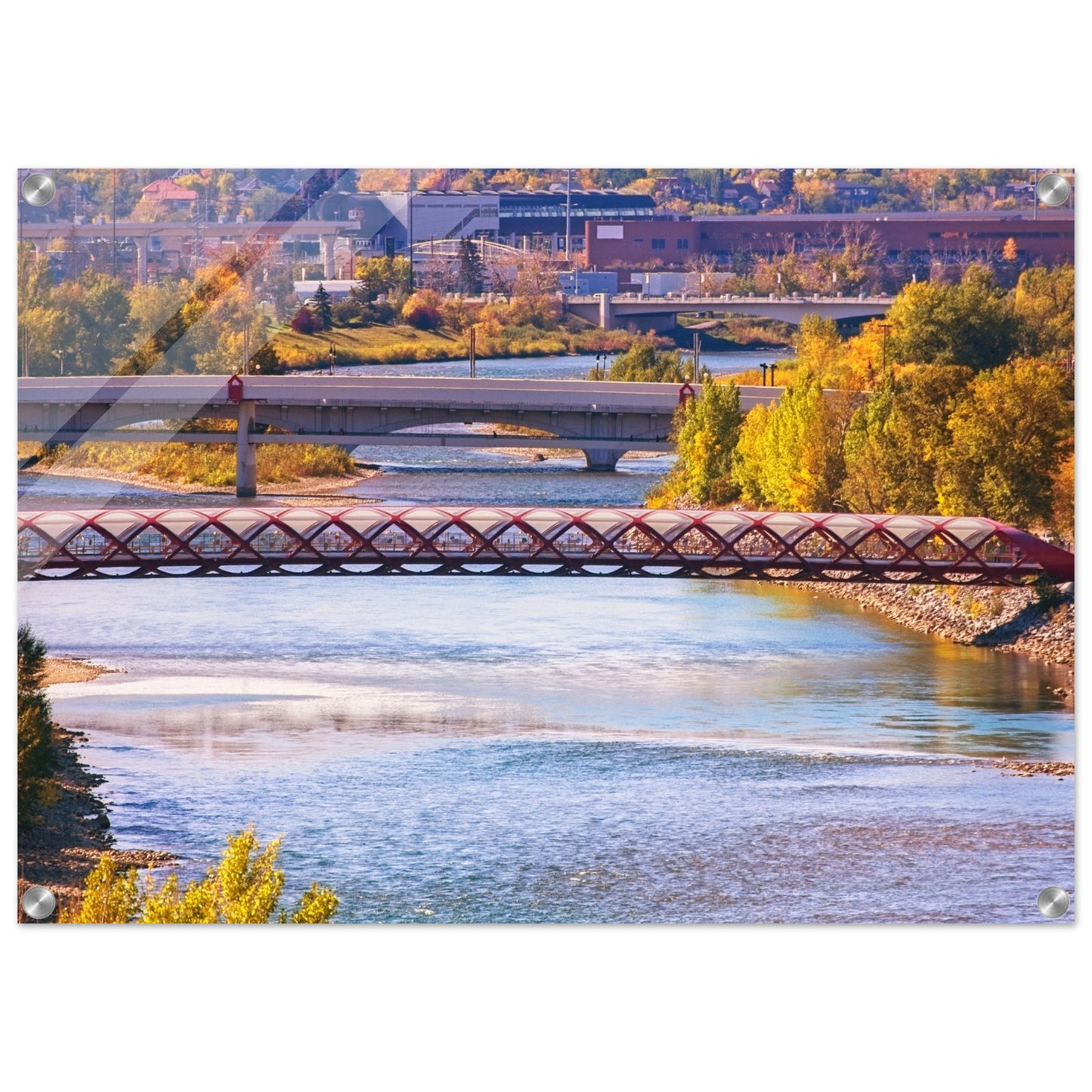 Acrylic Print - Peace Bridge McHugh Bluff Fall