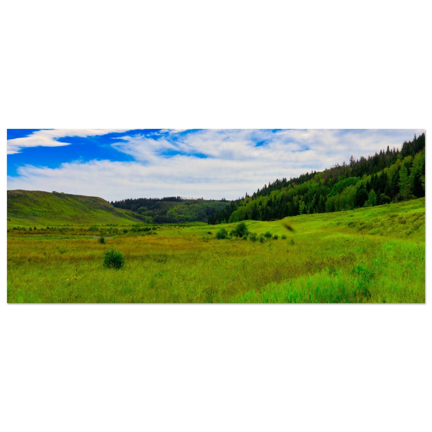 4f1341c8-2b04-451b-a9c0-c631dbbe1253