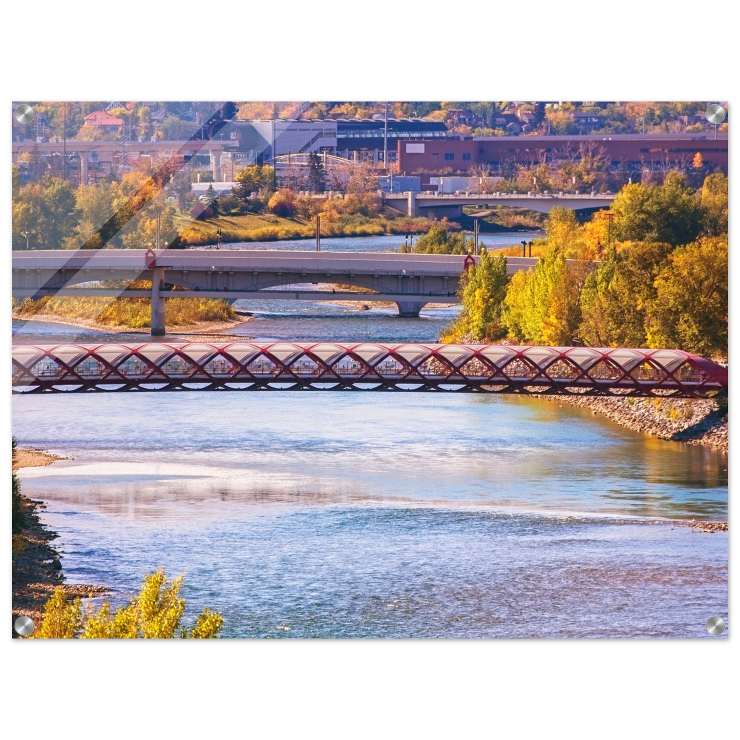 Acrylic Print - Peace Bridge McHugh Bluff Fall