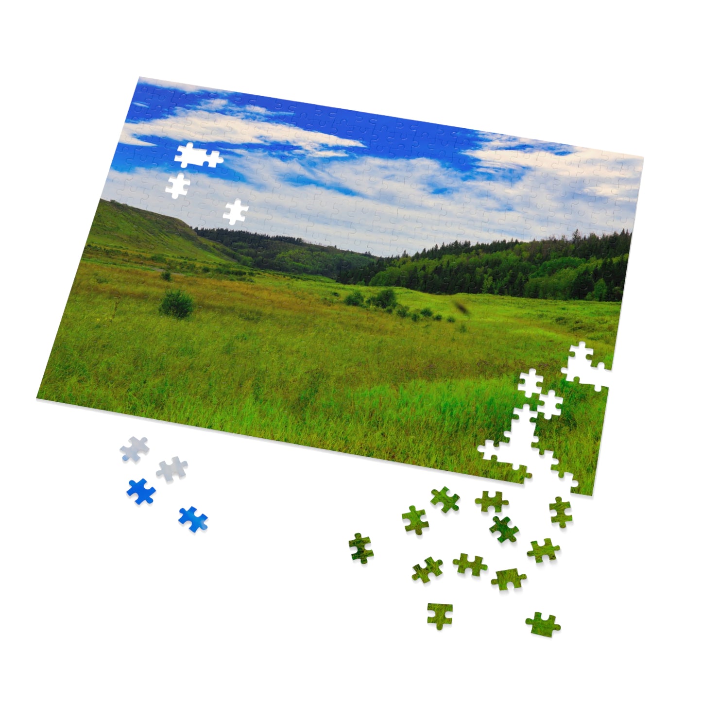 Jigsaw Puzzle - Big Hill Springs Park Entrance
