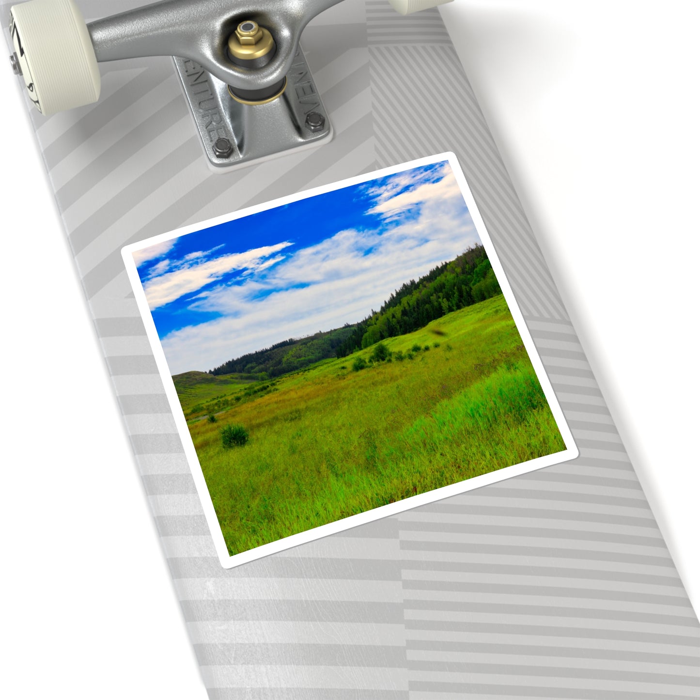 Square Stickers - Big Hill Springs Park Entrance