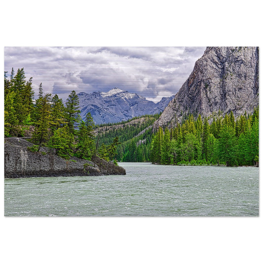 50aa65e0-4134-4043-854b-992856f869ba