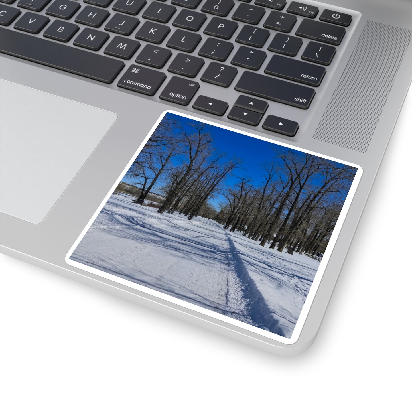 Square Stickers - Bowness Park Pathway Winter