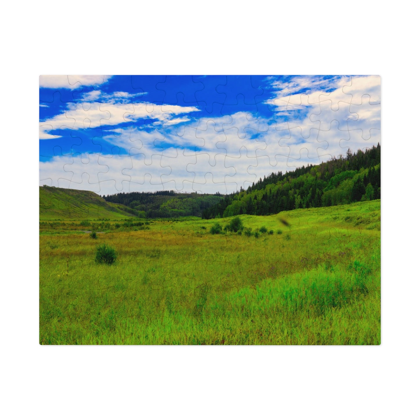 Jigsaw Puzzle - Big Hill Springs Park Entrance