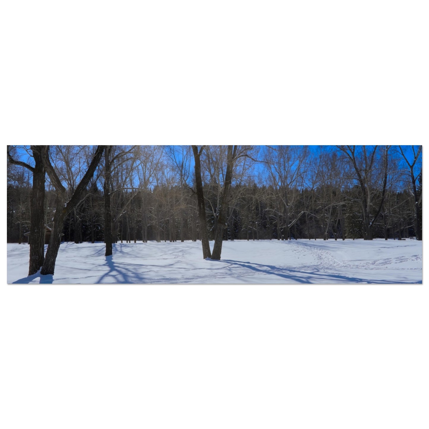 53e072e8-0eec-484b-8963-37363b7d2bd2