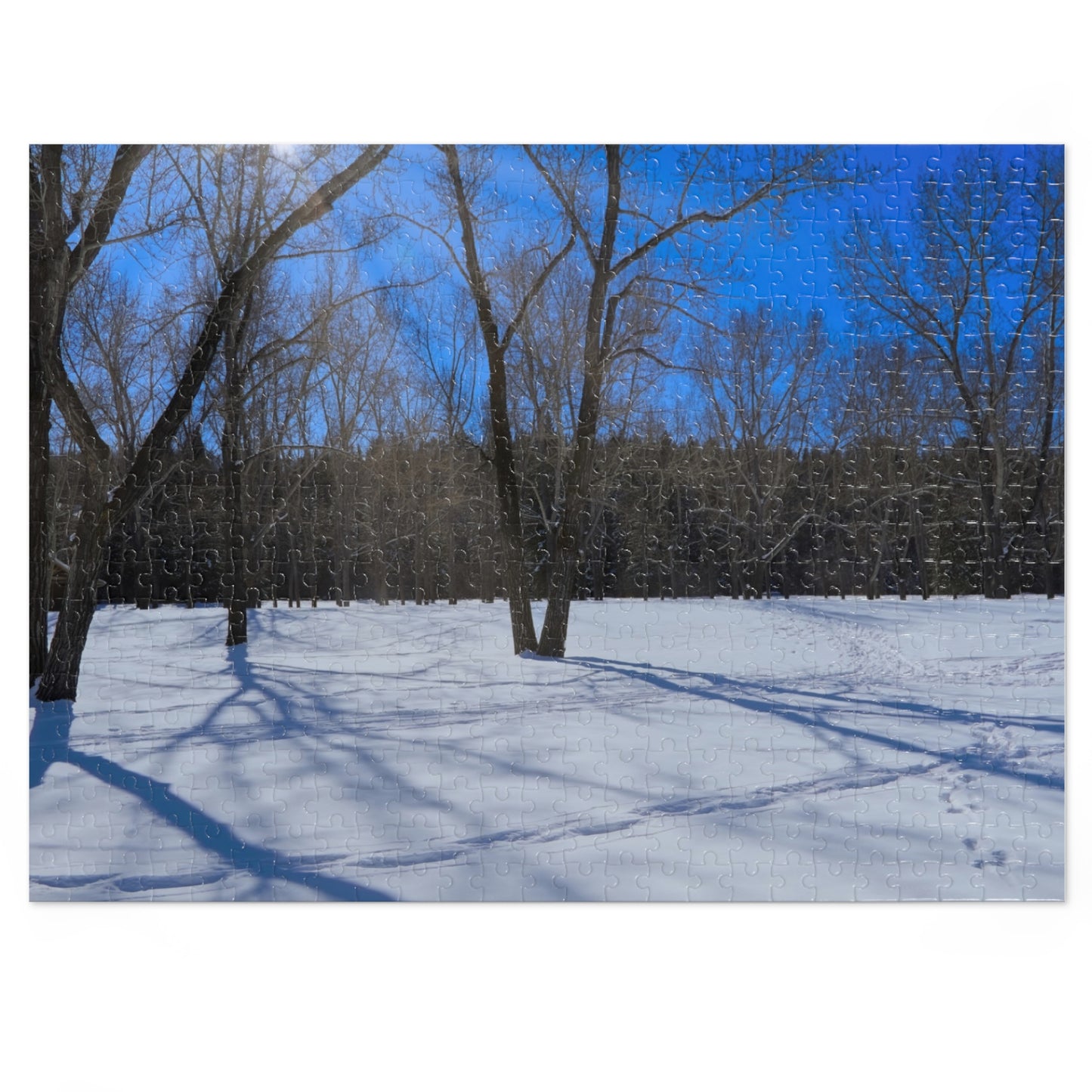 Jigsaw Puzzle (30, 110, 252, 500,1000-Piece) - Bowness Park Field Winter