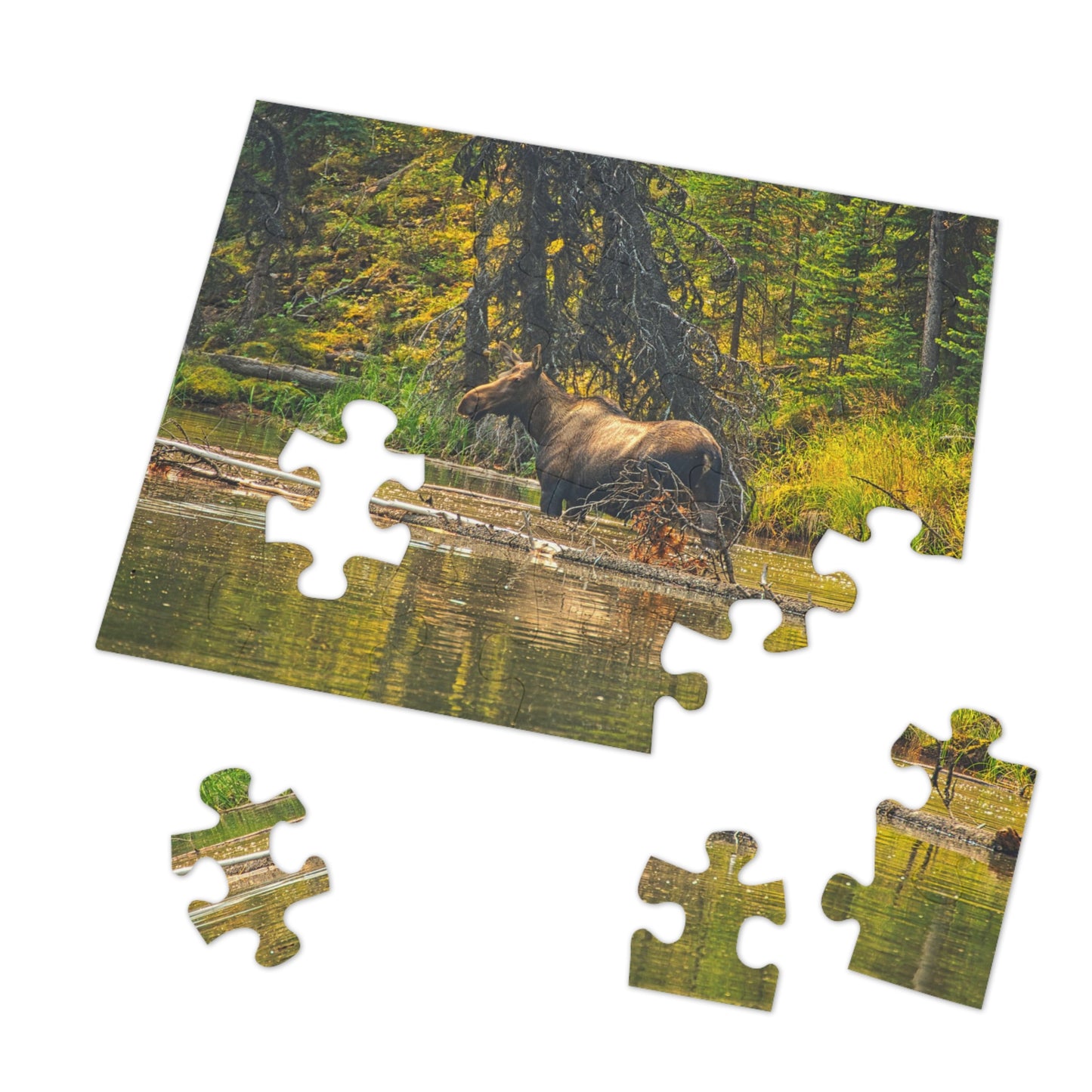 Jigsaw Puzzle (30, 110, 252, 500,1000-Piece) - Mosse Lake Moose