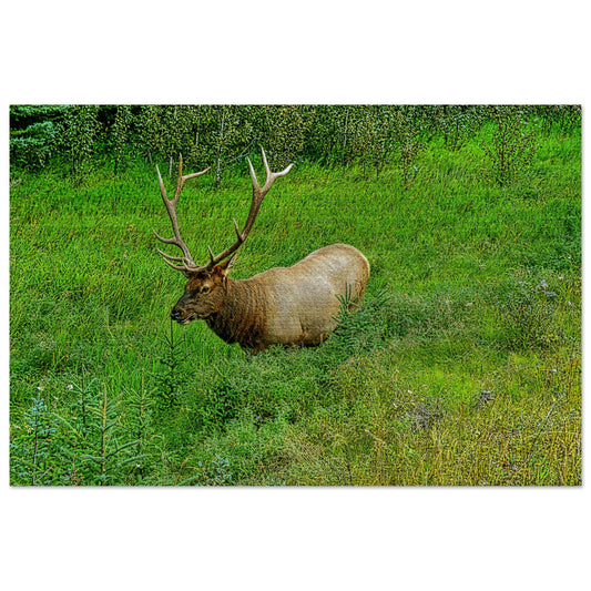 54e8e7dd-4314-4e03-a710-5cfd16442daa