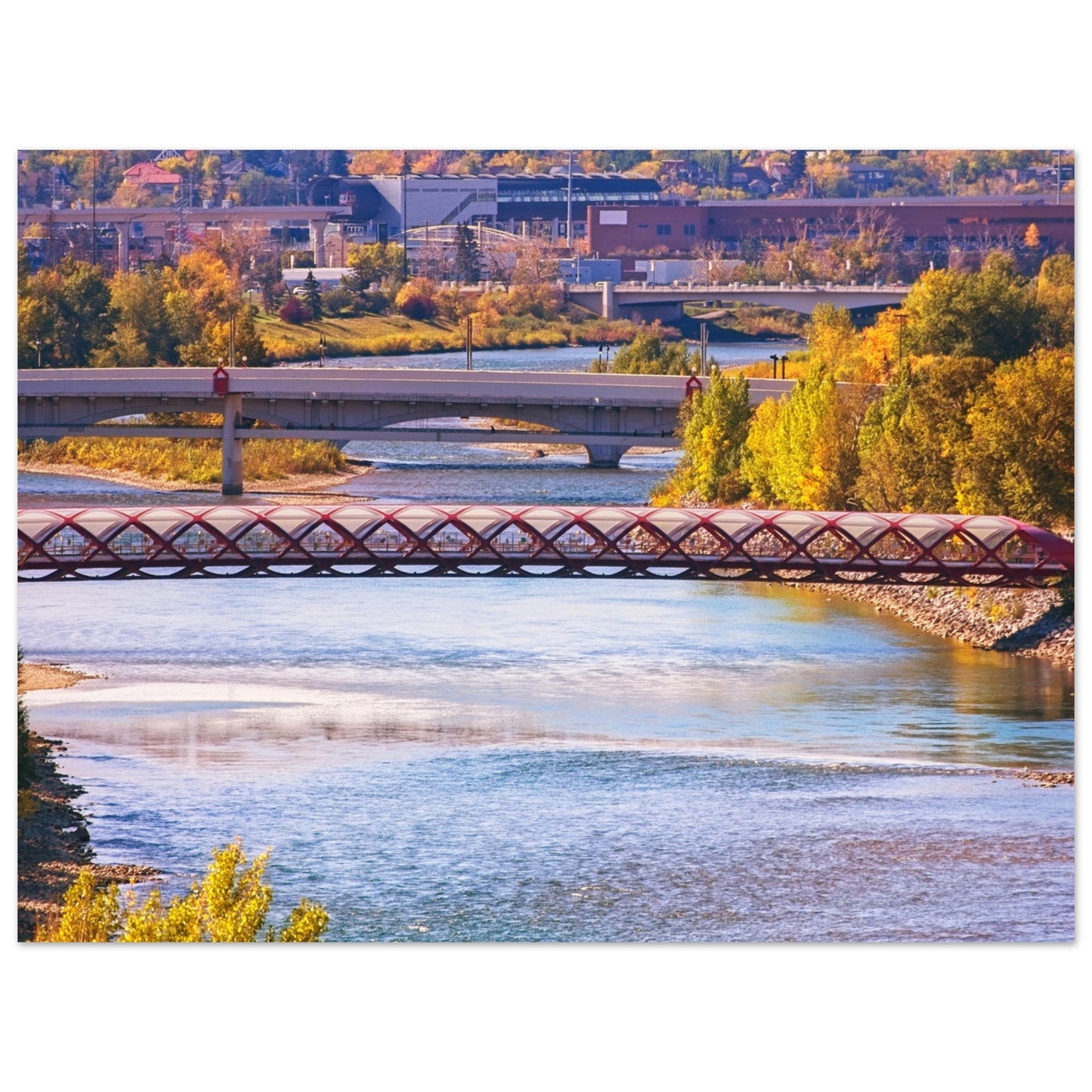 Premium Semi-Glossy Poster Print - Peace Bridge McHugh Bluff