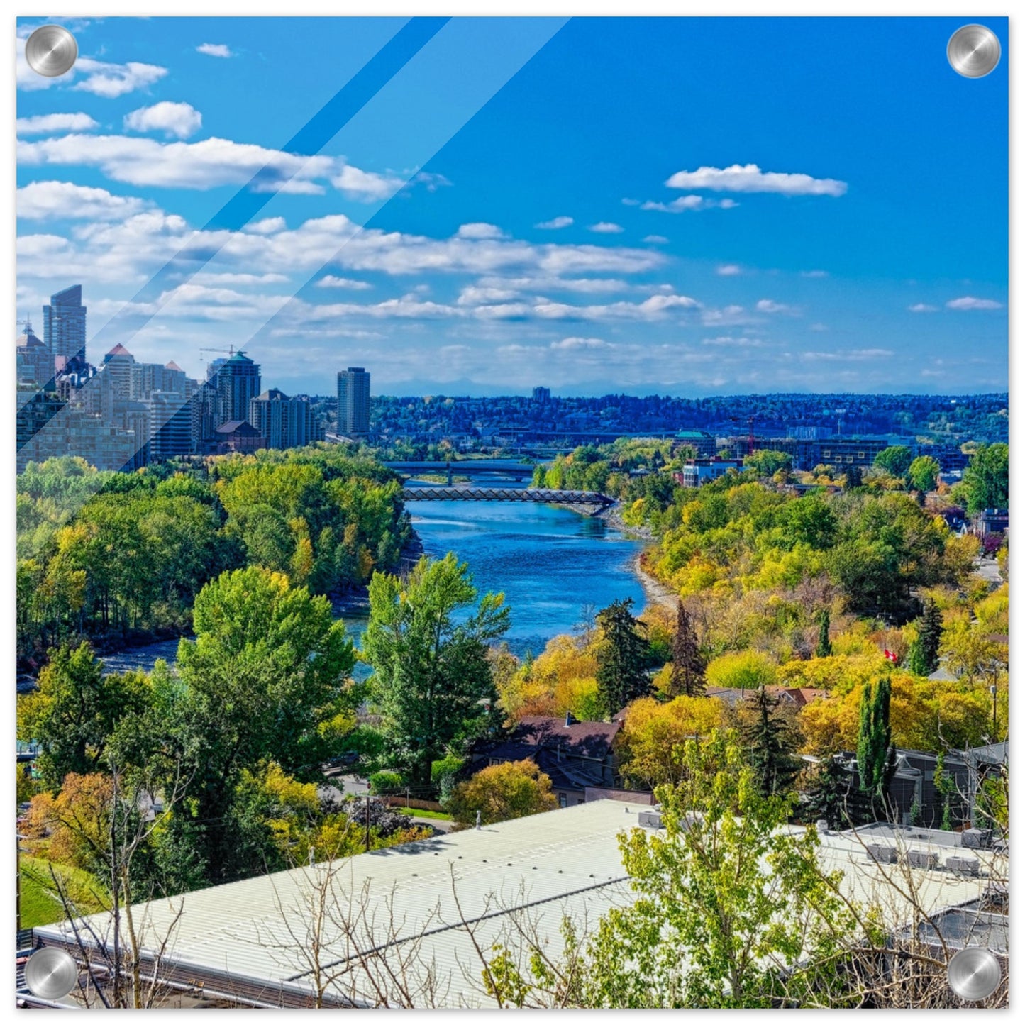 Acrylic Print - Bow River Peace Bridge McHugh Bluff HDR