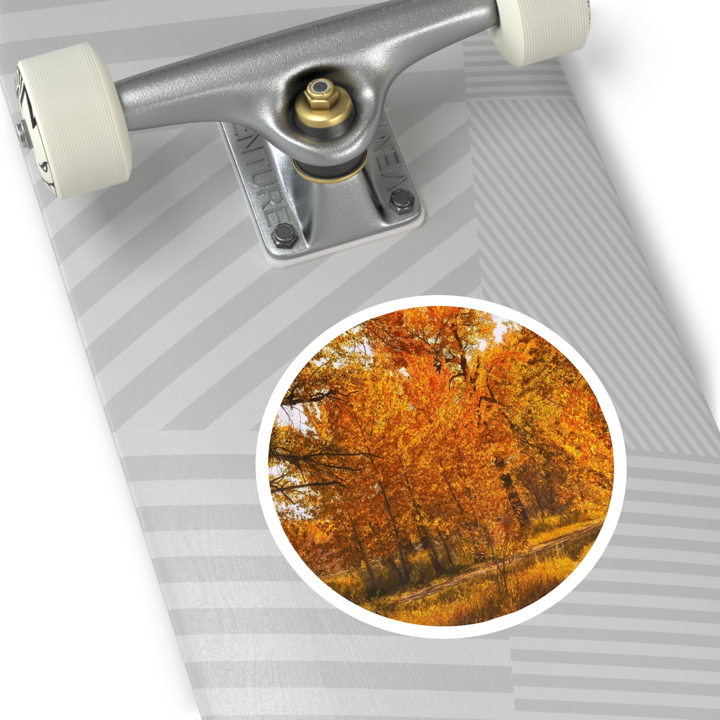 Round Stickers - Sue Higgins Park Fall Colours
