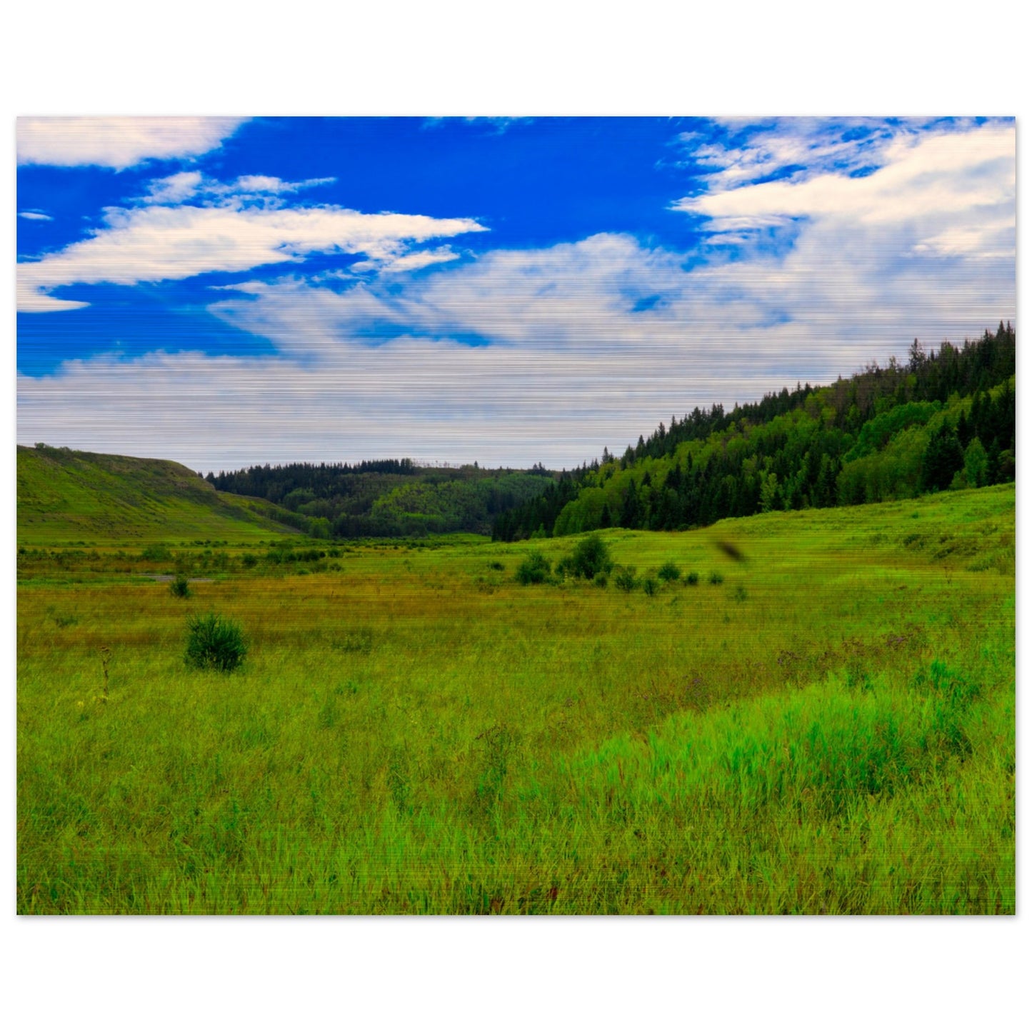 5a108115-176f-44a6-92f1-fbb843f044fc