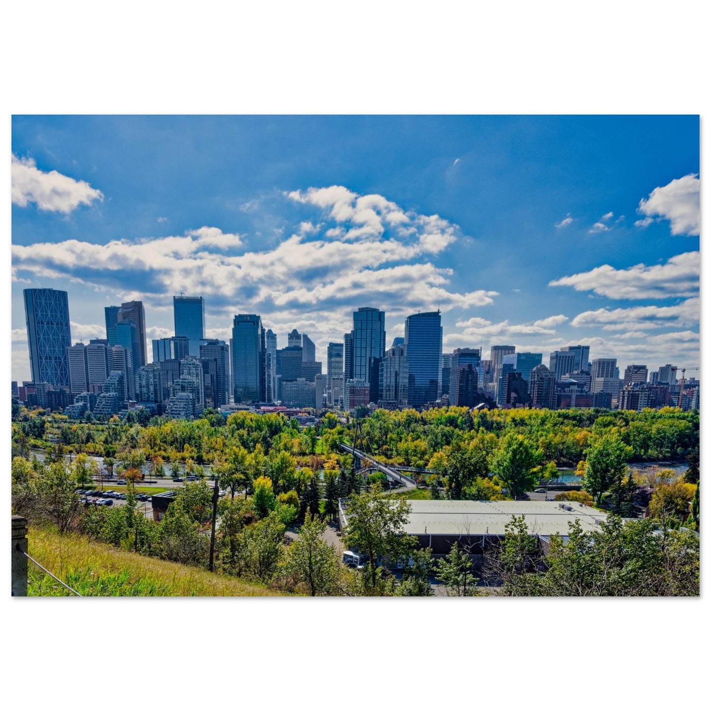 Foam Print - Downtown Calgary McHugh Bluff Fall