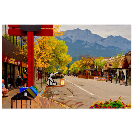 5ba2627a-057b-48ab-b641-78963cbc0aa6