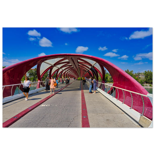 5dc075af-7cb3-4f01-9d74-baef4b936a52