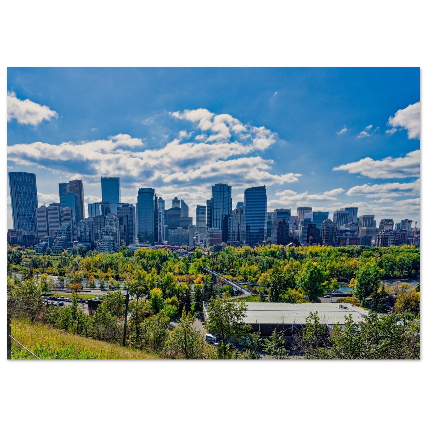 Premium Semi-Glossy Poster Print - Downtown Calgary McHugh Bluff Fall