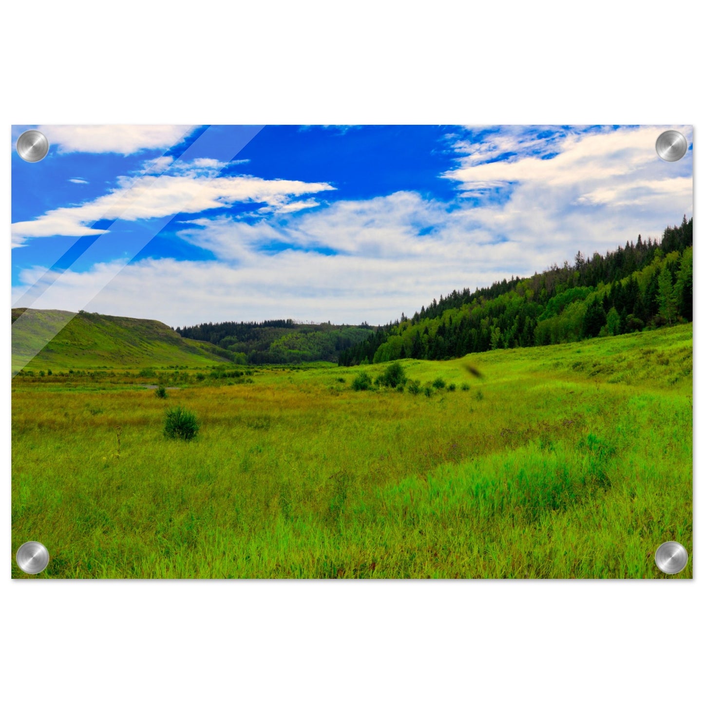 5f6ea642-16aa-4add-88db-4062ca022348
