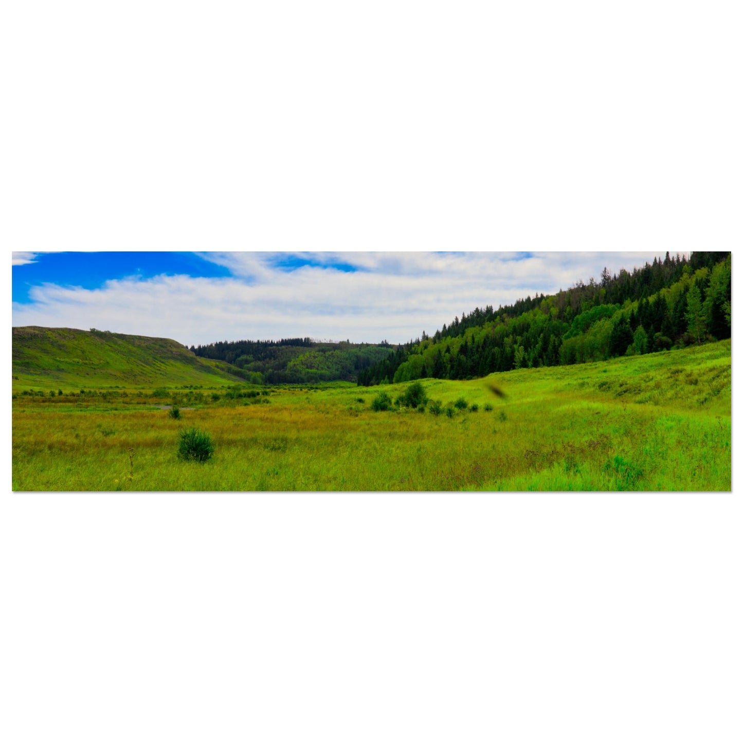 60f559a0-cd9d-4310-b699-196639c08259