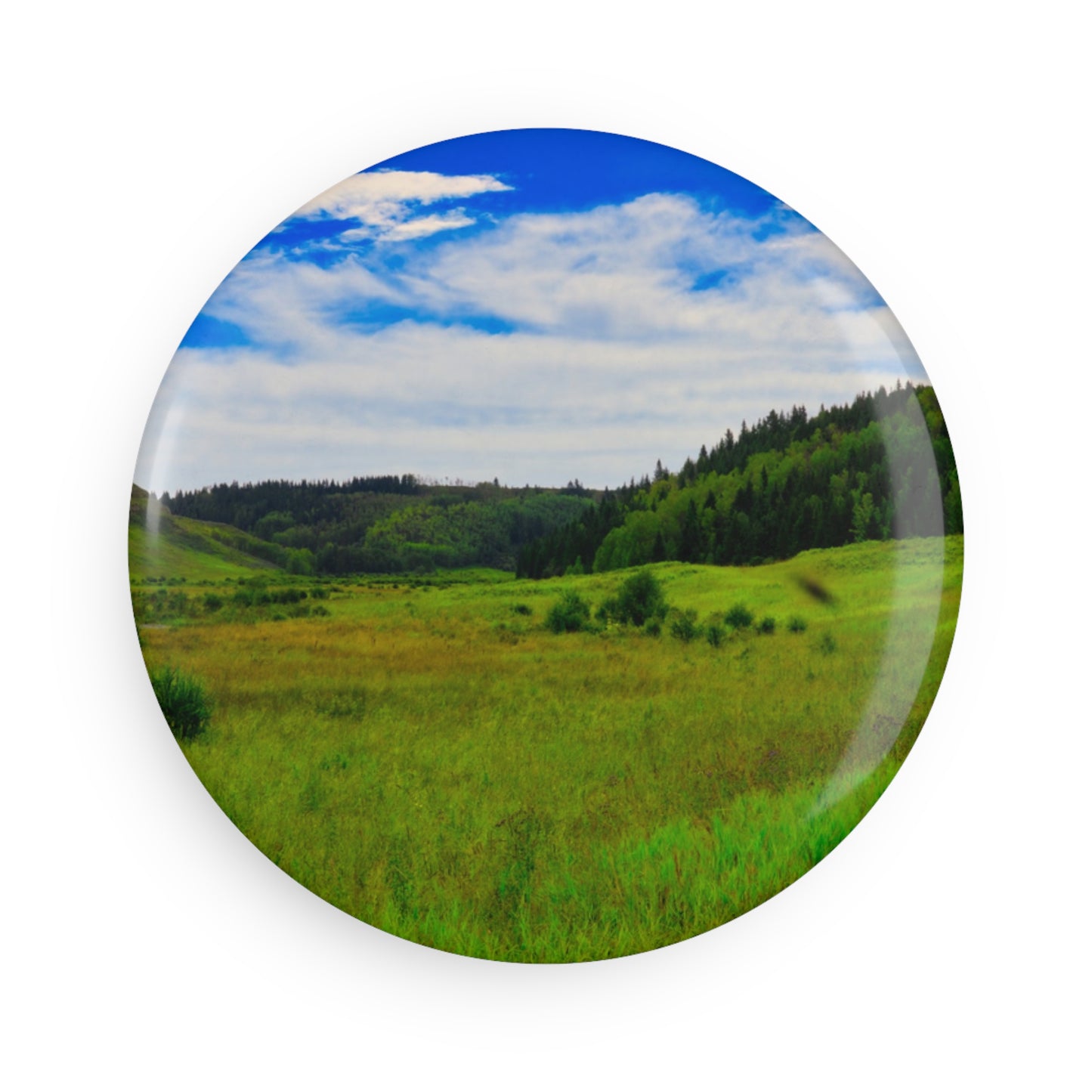Button Magnet, Round (1 & 10 pcs) - Big Hill Springs Park Entrance