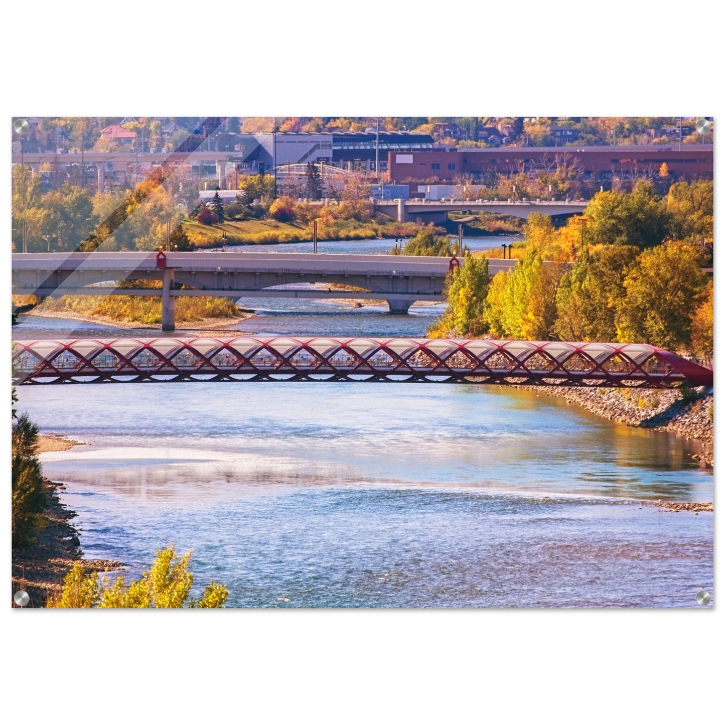Acrylic Print - Peace Bridge McHugh Bluff Fall