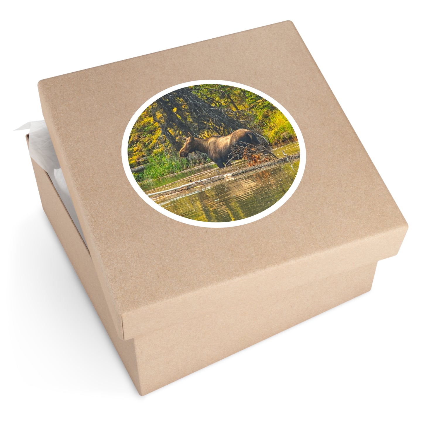 Round Stickers - Jasper National Park Moose Lake Moose