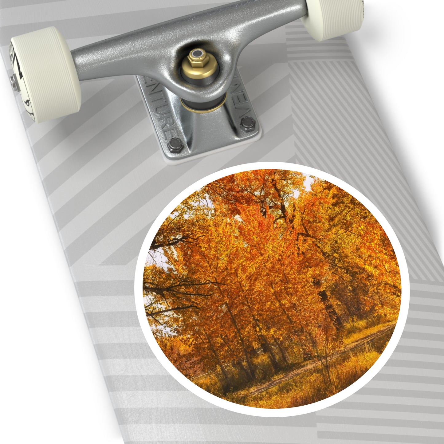 Round Stickers - Sue Higgins Park Fall Colours