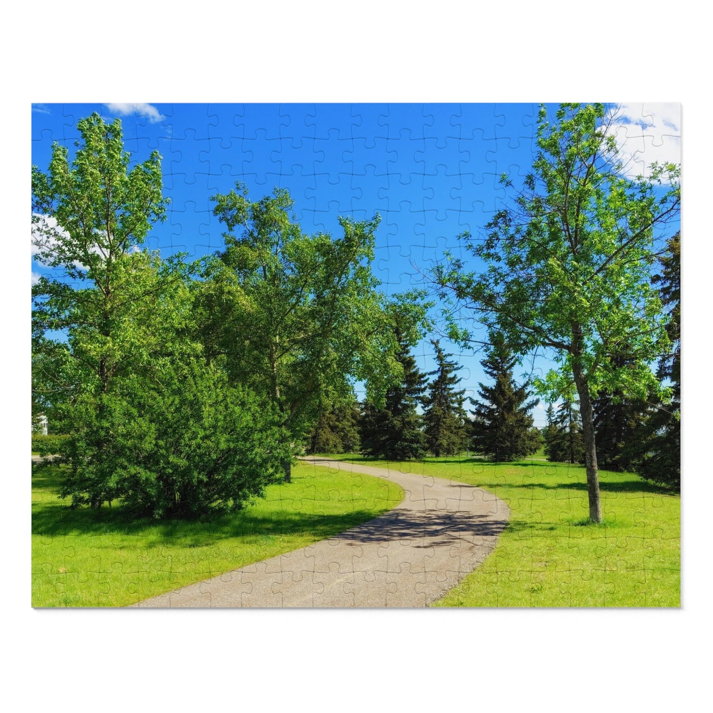 Jigsaw Puzzle (30, 110, 252, 500,1000-Piece) - Calgary in the Summer