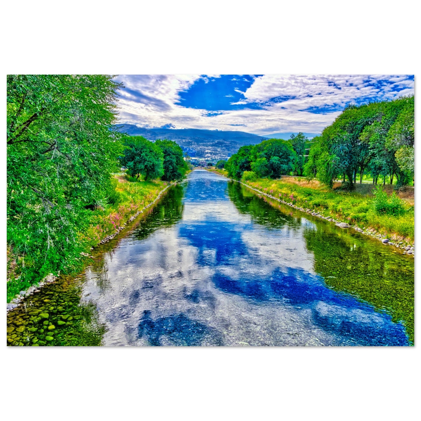 64a12769-d71e-49dc-a85e-03b39e5dcf96