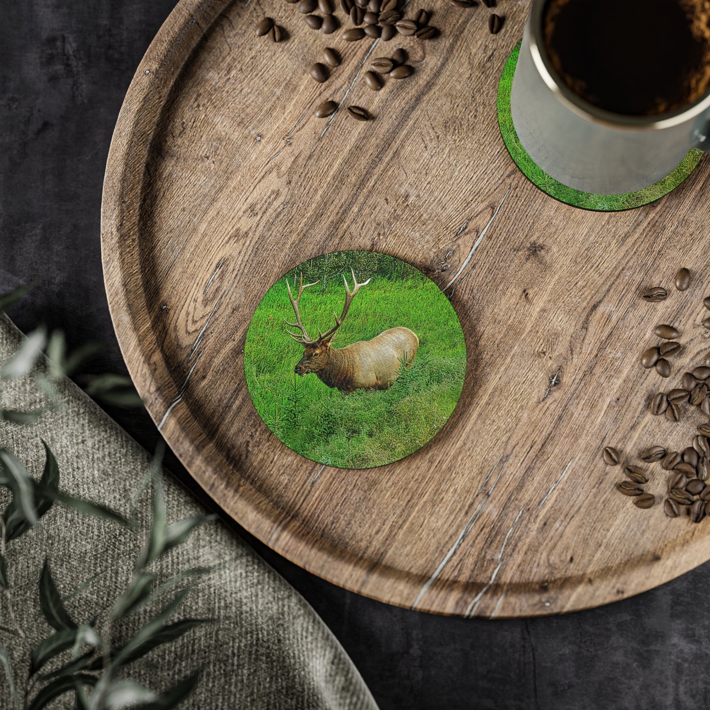 Coasters - Miette River Elk