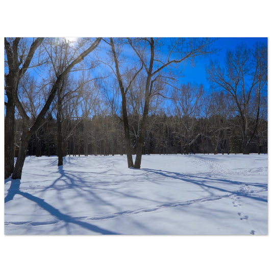 661ba67a-77eb-4a5f-b9f3-4cb892f7d3a2